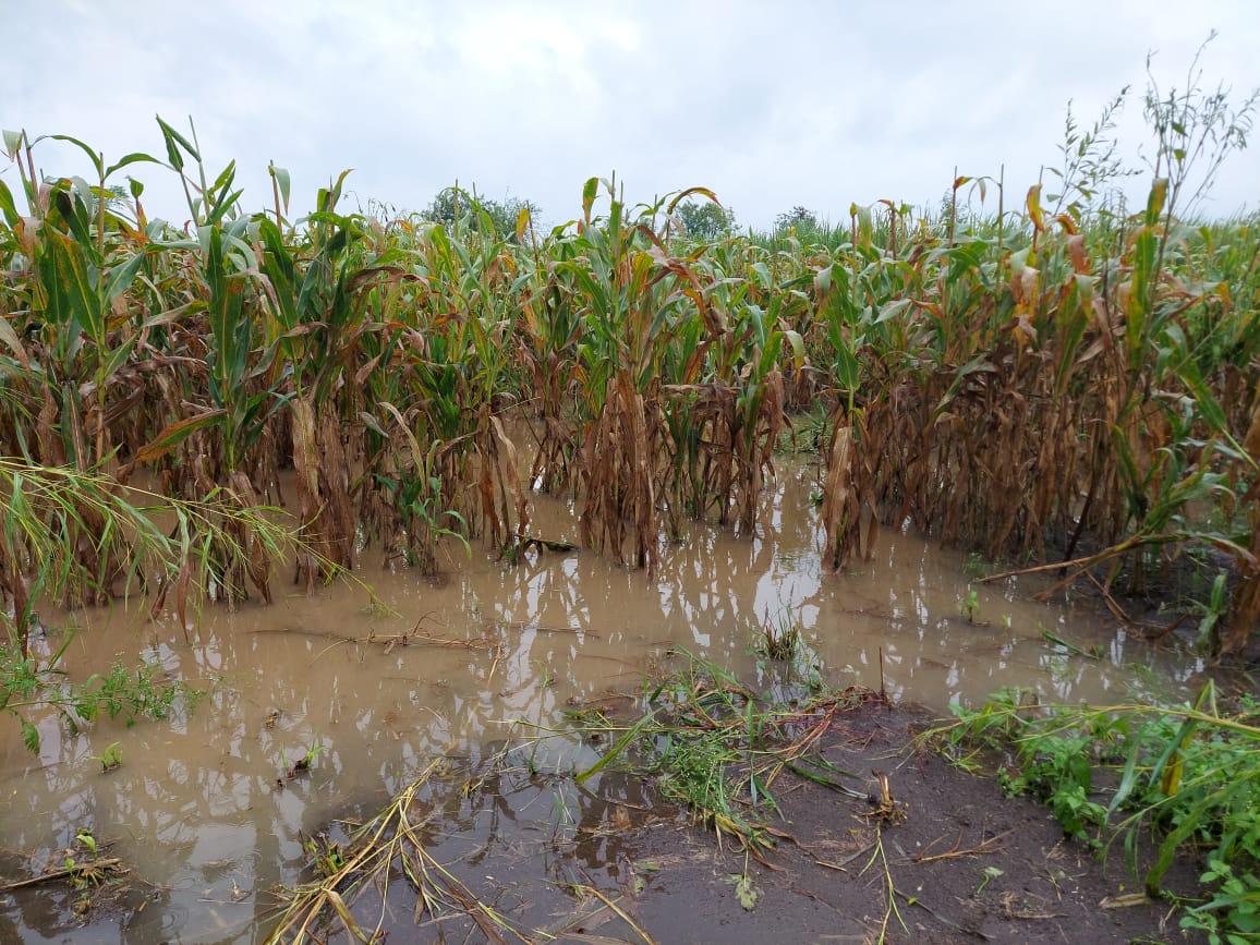 heavy-rain-with-risk-of-spot-flooding-meath-chronicle